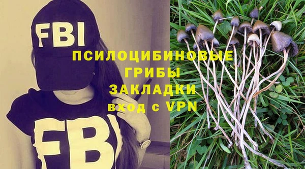амфетамин Богородск