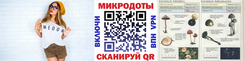 Галлюциногенные грибы GOLDEN TEACHER Саяногорск
