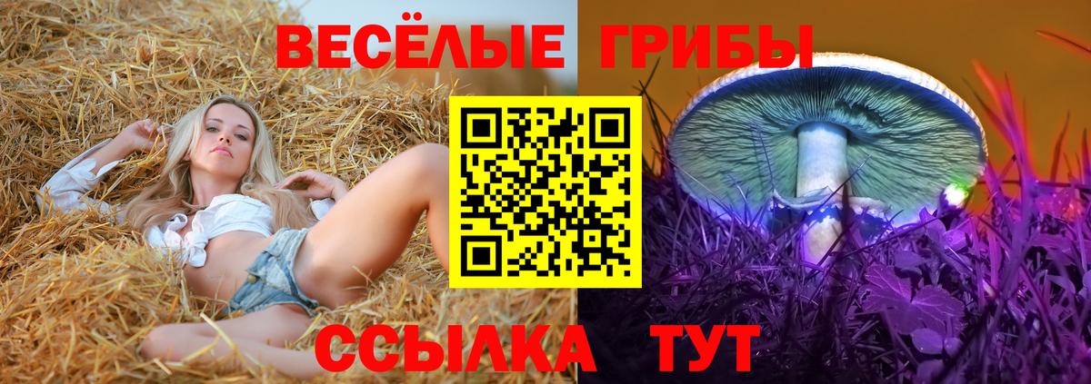Псилоцибиновые грибы MAGIC MUSHROOMS  Вход с VPN  Псилоцибиновые грибы Psilocybine cubensis  Саяногорск 